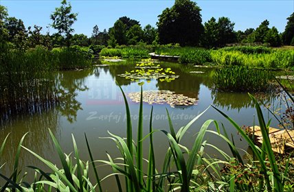 działka na sprzedaż 22449m2 działka Tarnowiec