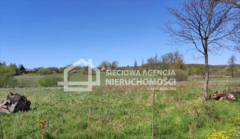 Sprzedam działkę inwestycyjną i budowlaną w Buszkowach działka Buszkowy