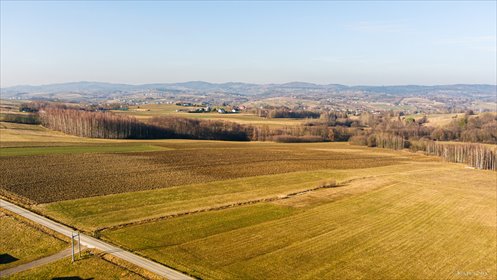 działka na sprzedaż 6000m2 działka Ołpiny