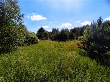 działka na sprzedaż 3150m2 działka Tomaszew