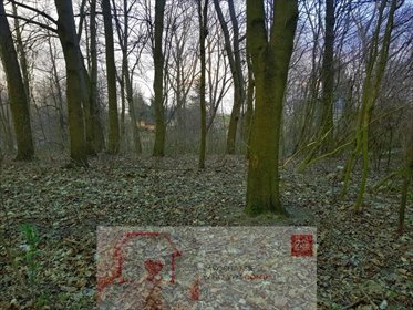 działka na sprzedaż 3300m2 działka Kocianów