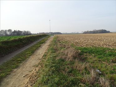 Działka budowlana na sprzedaż Łozina, Długołęka 10 447m2 Foto 7