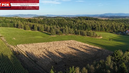 działka na sprzedaż 5250m2 działka Niwa