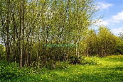 działka na sprzedaż 8700m2 działka Nowa Bukówka