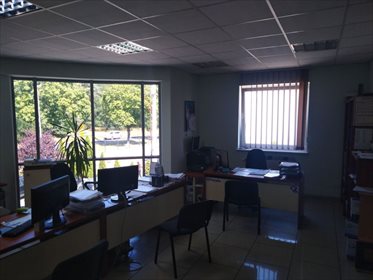 Lokal użytkowy na sprzedaż Niepruszewo 5 001m2 Foto 3