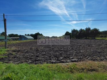 Działka rolna na sprzedaż Nowe Zawady 21 600m2 Foto 2