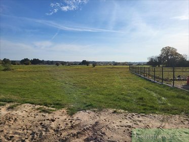 Działka 4235 m2 w Żarnowie – spokój i blisko natury działka Żarnowo