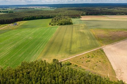 działka na sprzedaż 16923m2 działka Bielkowo