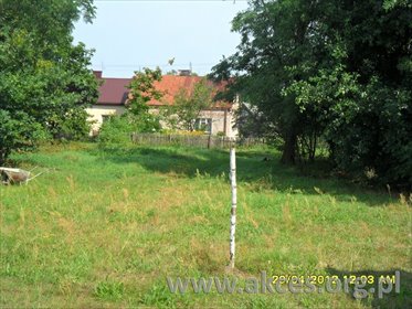 Działka 14 000 m² z budynkiem i sadami, uzbrojona działka Guzew