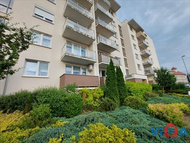 mieszkanie na wynajem 49m2 mieszkanie Zielona Góra, Centrum