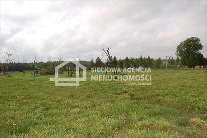 działka na sprzedaż 5000m2 działka Lisewiec