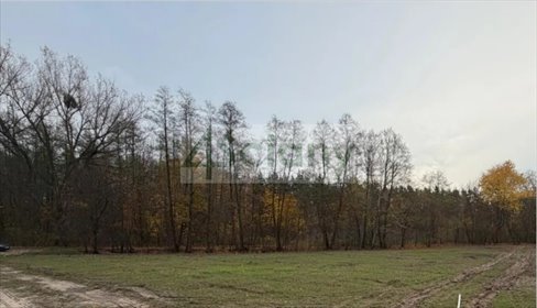 Zapraszam do zakupu działki 1507 m² z wodą i lasem w Rozalinie działka Rozalin