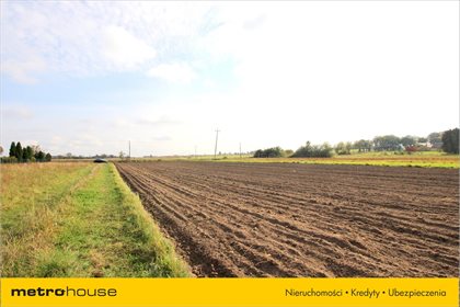 Działka siedliskowa na sprzedaż Zalesie, Zelów 34 300m2 Foto 4