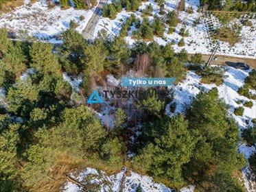 działka na sprzedaż 1098m2 działka Nowa Kiszewa