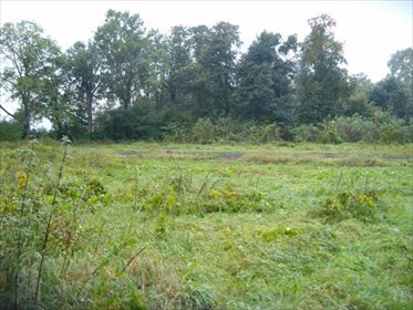 działka na sprzedaż 10328m2 działka Pietrzykowice