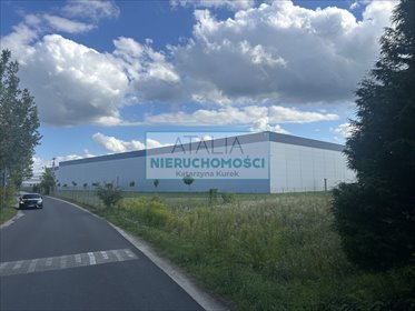 Działka 7 050 m² z możliwością zabudowy i podziału. działka Janki