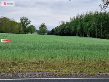 Działki budowlane 1000m², media, blisko jezior i S5 działka Kołdrąb