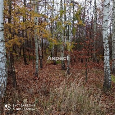 działka na sprzedaż 6700m2 działka Smolarzyny