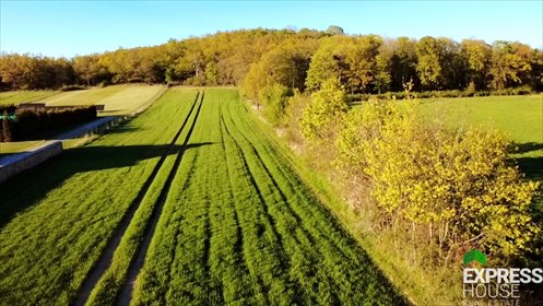 Urokliwa działka siedliskowa 6 425 m2 z widokiem na Śnieżkę działka Żelazów