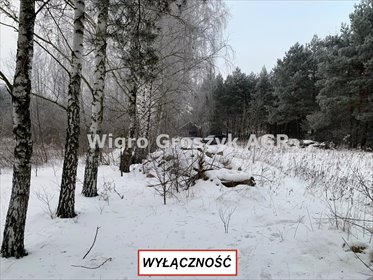 Działka 1500 m² w otulinie Kampinoskiego Parku Narodowego działka Kaliszki