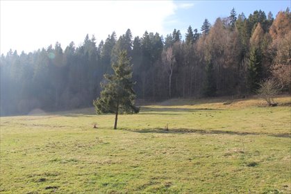Działka 6 161 m² z widokiem na Pieniny i Trzy Korony działka Nowotarski, Szkolna
