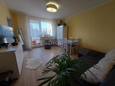 mieszkanie na wynajem 33m2 mieszkanie Wałbrzych, Piaskowa Góra