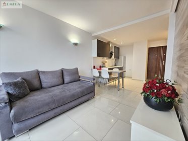 mieszkanie na wynajem 36m2 mieszkanie Sosnowiec, Centrum