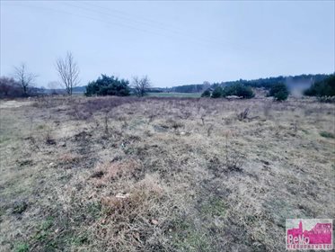 działka na sprzedaż 2000m2 działka Wilczeniec Bogucki