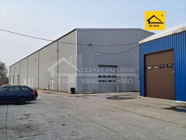 lokal użytkowy na wynajem 2000m2 lokal użytkowy Ryki, Ryki