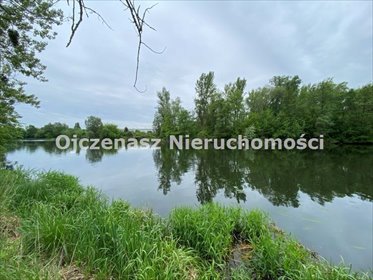 działka na sprzedaż 10120m2 działka Tryszczyn