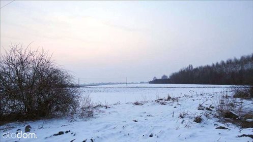 działka na sprzedaż 15000m2 działka Warszawa, Ursynów, warszawa