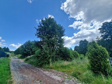 Działka 1000 m² z mediami, las, nowa zabudowa działka Wodzisław Śląski, Tęczowa