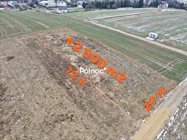 działka na sprzedaż 2081m2 działka Wolbrom