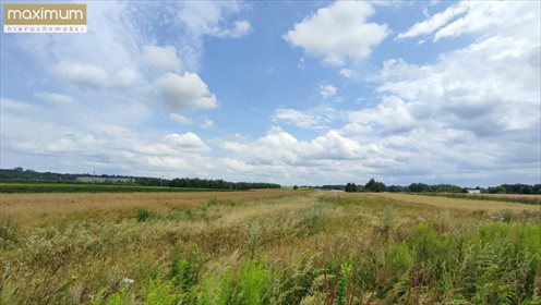 Działka rolna na sprzedaż Stara Wieś 18 034m2 Foto 4