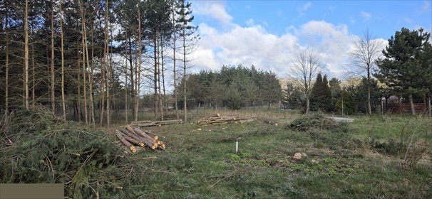 Działka budowlana na sprzedaż Zawiercie, Winna 1 007m2 Foto 4