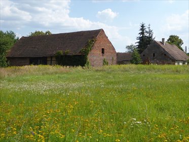 Dom z potencjałem, 120 m², ogród i zabudowania dom Brzeg Dolny