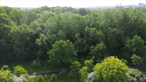 działka na sprzedaż 849m2 działka Poznań, Sołacz