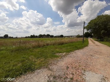 Do sprzedania malownicza działka 2800 m² z warunkami zabudowy działka Buszkowo