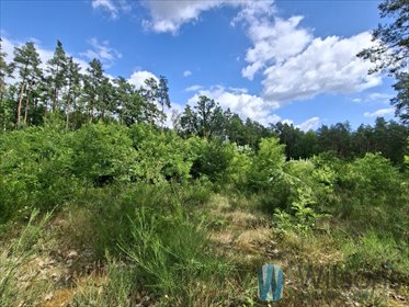 Działka inwestycyjna 19,7 ha Sulejówek - zapraszam działka Sulejówek, Okuniewska