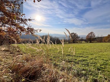 działka na sprzedaż 2200m2 działka Lutcza