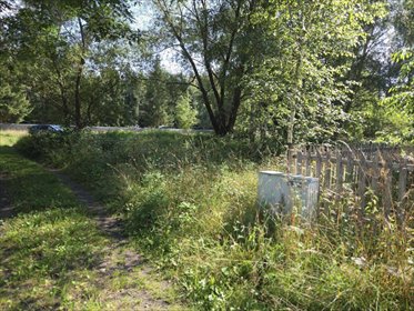 Do sprzedania działka rekreacyjna 1500 m² w Szczechach Małych działka Szczechy Małe