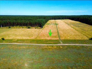 Działka 1707 m² w Szczycionku - cisza i odizolowanie zapraszam działka Szczycionek