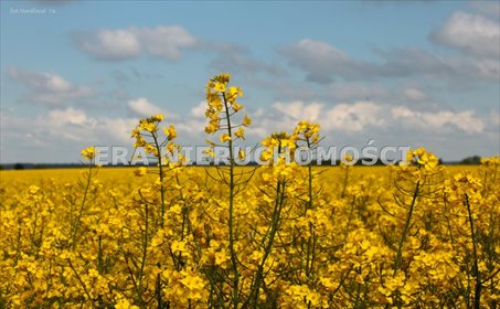 działka na sprzedaż 1470m2 działka Henrykowo, Szafirowa