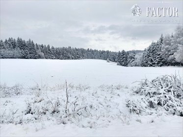 działka na sprzedaż 1936m2 działka Klimkówka