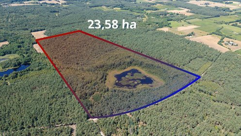 Urokliwa działka 23,58 ha z oczkiem wodnym i potencjałem działka Babiec-Więczanki