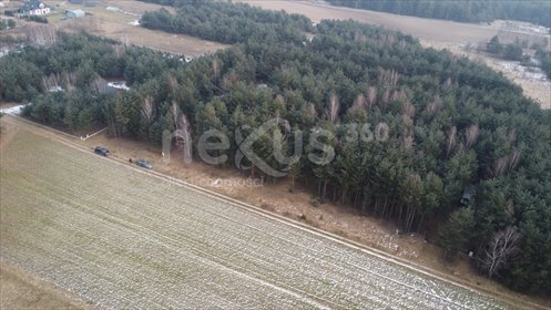 Działki pod zabudowę w Drogoszowicach z mediami i lasem działka Drogoszowice