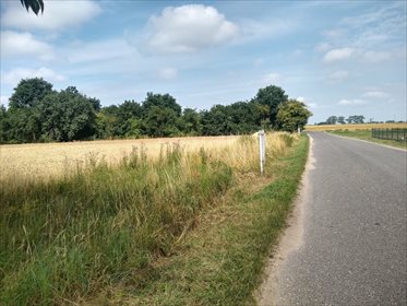 Działka budowlana na sprzedaż Orle Wielkie 1 000m2 Foto 3