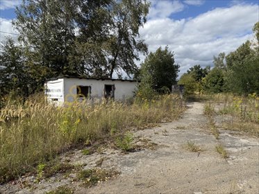 działka na sprzedaż 4800m2 działka Żagań