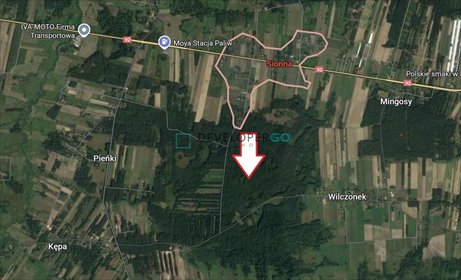 Sprzedam działkę leśną 1,8 ha z potencjałem inwestycyjnym działka Sionna