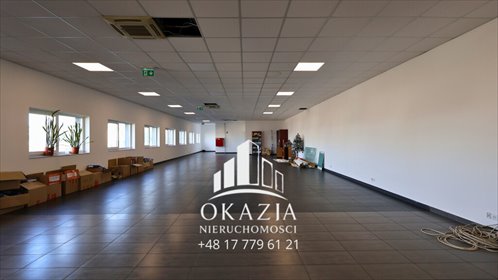 lokal użytkowy na wynajem 200m2 lokal użytkowy Zaczernie